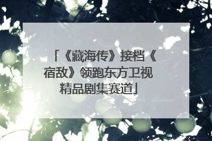 《藏海传》接档《宿敌》领跑东方卫视精品剧集赛道