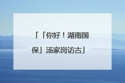 「你好！湖南国保」汤家岗访古