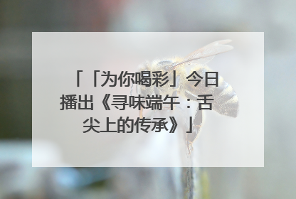 「为你喝彩」今日播出《寻味端午：舌尖上的传承》