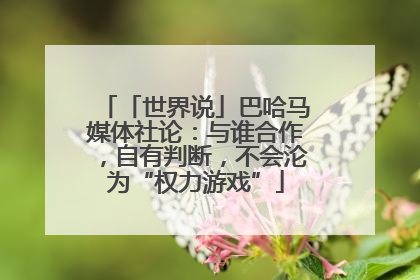 「世界说」巴哈马媒体社论：与谁合作，自有判断，不会沦为“权力游戏”