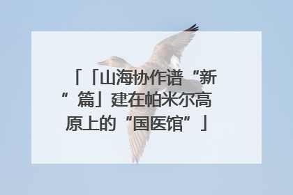 「山海协作谱“新”篇」建在帕米尔高原上的“国医馆”