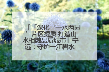 「深化‘一水两园’片区提质·打造山水相融品质城市」宁远：守护一江碧水 共享幸福河湖