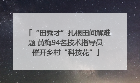 “田秀才”扎根田间解难题 黄梅94名技术指导员催开乡村“科技花”