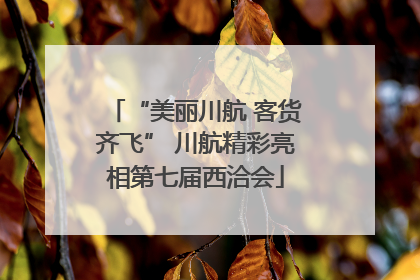 “美丽川航 客货齐飞” 川航精彩亮相第七届西洽会