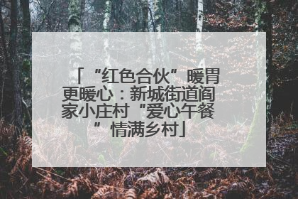 “红色合伙”暖胃更暖心：新城街道阎家小庄村“爱心午餐”情满乡村