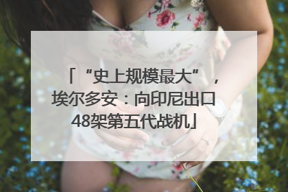 “史上规模最大”，埃尔多安：向印尼出口48架第五代战机