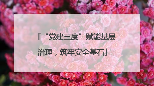 “党建三度”赋能基层治理，筑牢安全基石