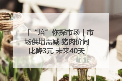 “培”你探市场｜市场供增需减 猪肉价同比降3元 未来40天便宜猪肉敞开吃