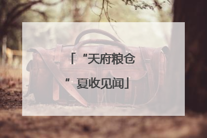 “天府粮仓”夏收见闻