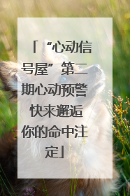 “心动信号屋”第二期心动预警 快来邂逅你的命中注定