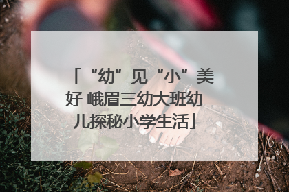 “幼”见“小”美好 峨眉三幼大班幼儿探秘小学生活
