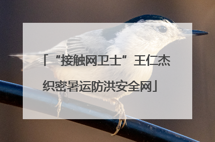 “接触网卫士”王仁杰织密暑运防洪安全网