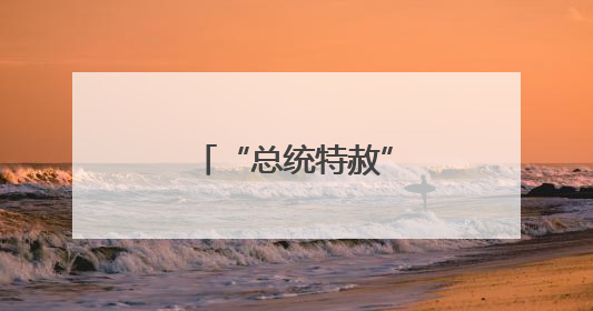 “总统特赦”要价多少美元