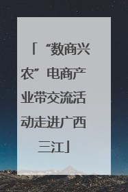 “数商兴农”电商产业带交流活动走进广西三江