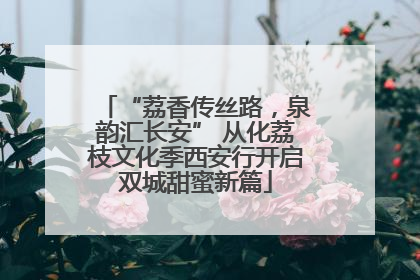 “荔香传丝路，泉韵汇长安” 从化荔枝文化季西安行开启双城甜蜜新篇