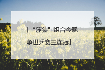 “莎头”组合今晚争世乒赛三连冠
