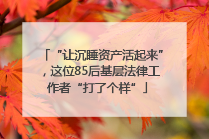 “让沉睡资产活起来”，这位85后基层法律工作者“打了个样”