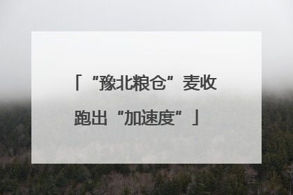 “豫北粮仓”麦收跑出“加速度”