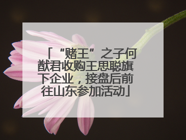 “赌王”之子何猷君收购王思聪旗下企业，接盘后前往山东参加活动