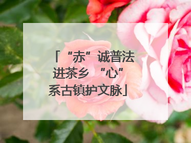 “赤”诚普法进茶乡 “心”系古镇护文脉