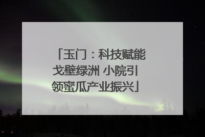 玉门：科技赋能戈壁绿洲 小院引领蜜瓜产业振兴