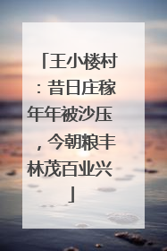 王小楼村：昔日庄稼年年被沙压，今朝粮丰林茂百业兴