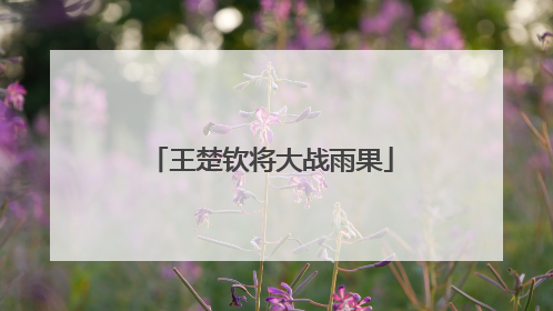 王楚钦将大战雨果