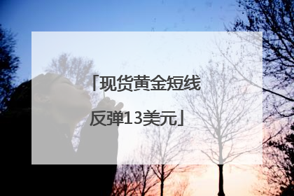 现货黄金短线反弹13美元