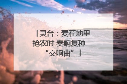 灵台：麦茬地里抢农时 奏响复种“交响曲”