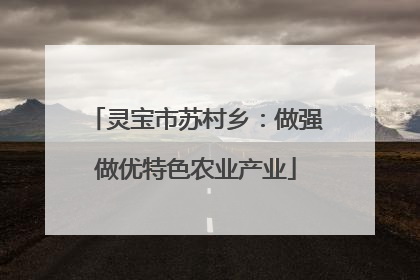 灵宝市苏村乡：做强做优特色农业产业