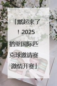 燃起来了！2025鹤壁国际匹克球邀请赛激情开赛