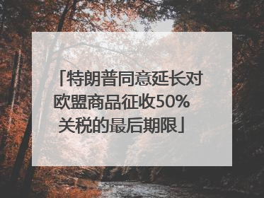 特朗普同意延长对欧盟商品征收50%关税的最后期限