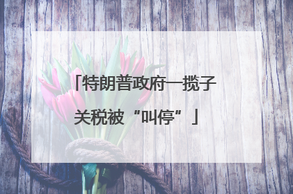 特朗普政府一揽子关税被“叫停”