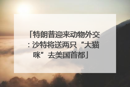特朗普迎来动物外交：沙特将送两只“大猫咪”去美国首都