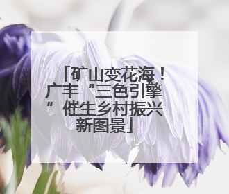 矿山变花海！广丰“三色引擎”催生乡村振兴新图景