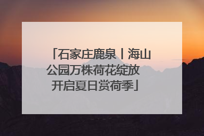 石家庄鹿泉丨海山公园万株荷花绽放 开启夏日赏荷季