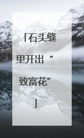 石头缝里开出“致富花”