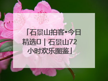 石景山拍客•今日精选⑲｜石景山72小时欢乐图鉴