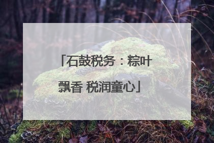 石鼓税务：粽叶飘香 税润童心