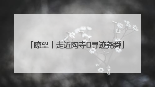 瞭望丨走近陶寺 寻迹尧舜