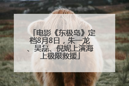 电影《东极岛》定档8月8日，朱一龙、吴磊、倪妮上演海上极限救援
