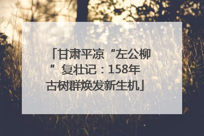 甘肃平凉“左公柳”复壮记：158年古树群焕发新生机