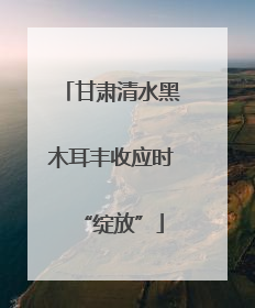 甘肃清水黑木耳丰收应时“绽放”