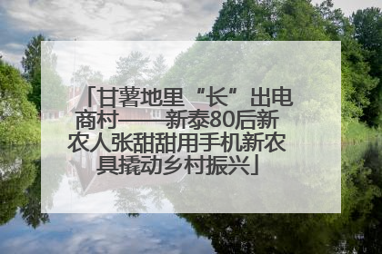 甘薯地里“长”出电商村——新泰80后新农人张甜甜用手机新农具撬动乡村振兴