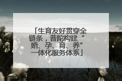 生育友好贯穿全链条，普陀构建“婚、孕、育、养”一体化服务体系