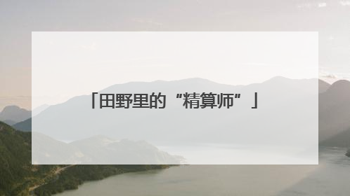 田野里的“精算师”