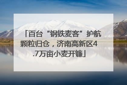 百台“钢铁麦客”护航颗粒归仓，济南高新区4.7万亩小麦开镰
