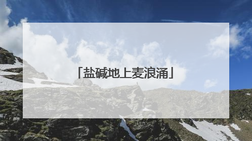 盐碱地上麦浪涌