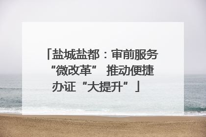 盐城盐都：审前服务“微改革” 推动便捷办证“大提升”