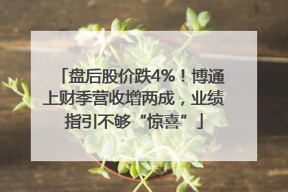 盘后股价跌4%！博通上财季营收增两成，业绩指引不够“惊喜”